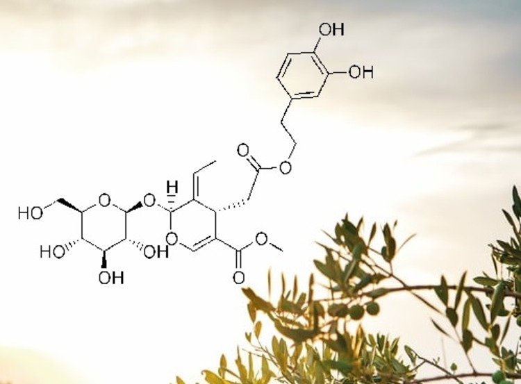 Kemisk formel för oleuropein C25H32O13 som extrakt av olivblad, effektivt i kosttillskott