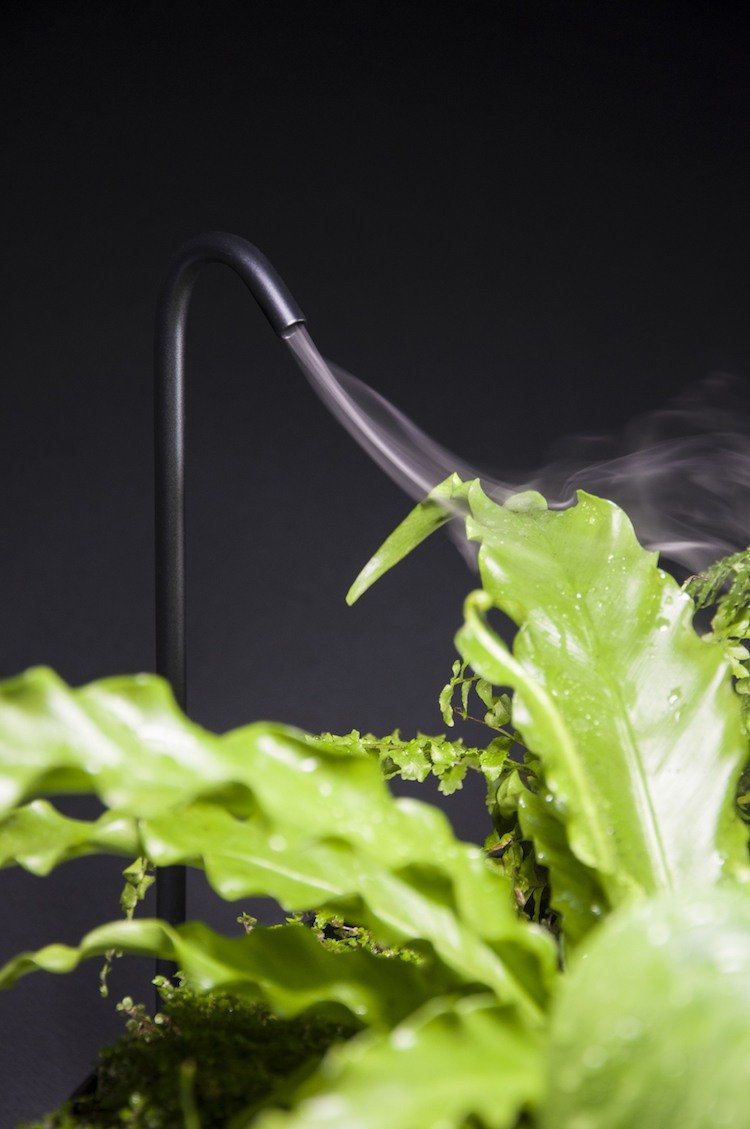 optimal inomhus växter vård vattning ånga design