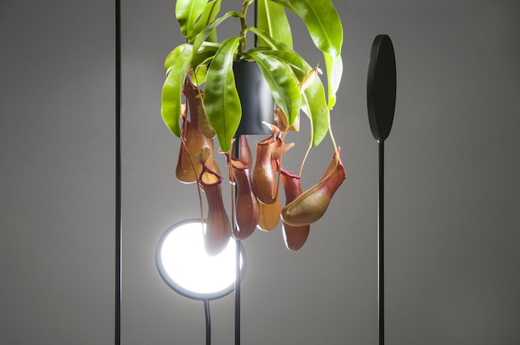 optimal inomhus växter vård lampa armatur