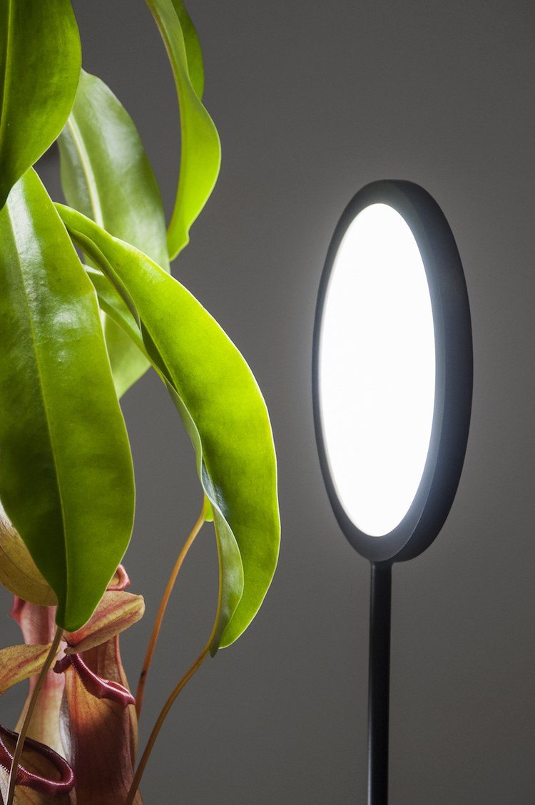 optimala inomhus växter vård ljus belysning led lampa design