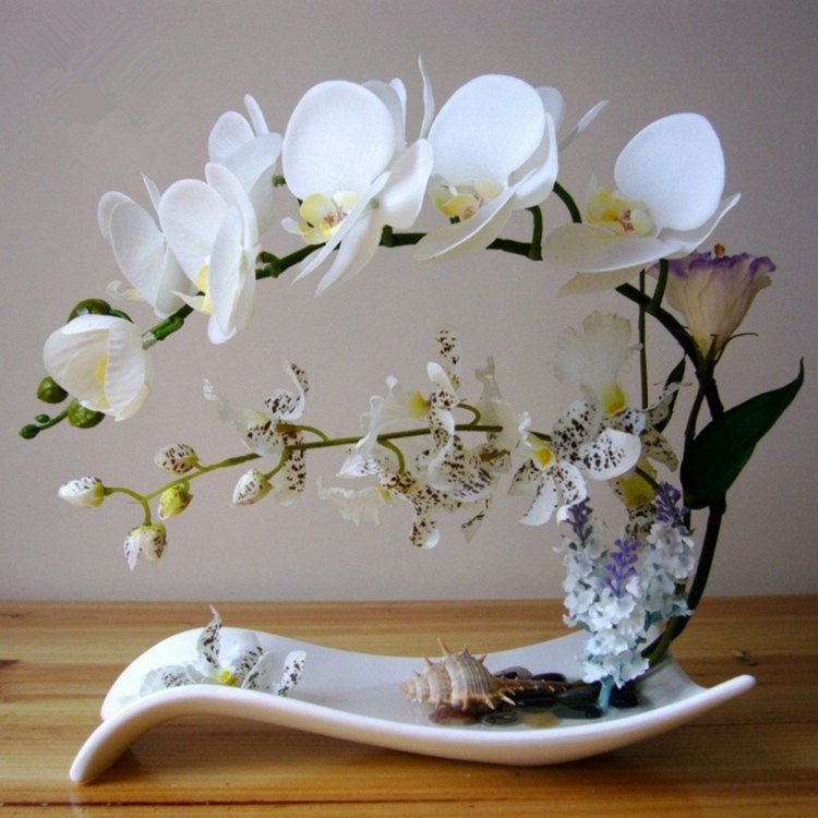 orkidéer dekoration arrangemang idé moderna skal snäckskal hav