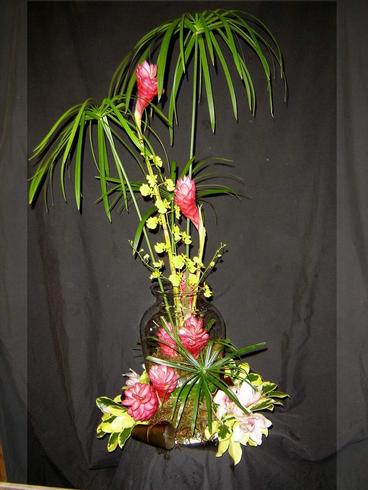 orkidéer dekorationer och arrangemang exotiska oncidium palm rosa blommor