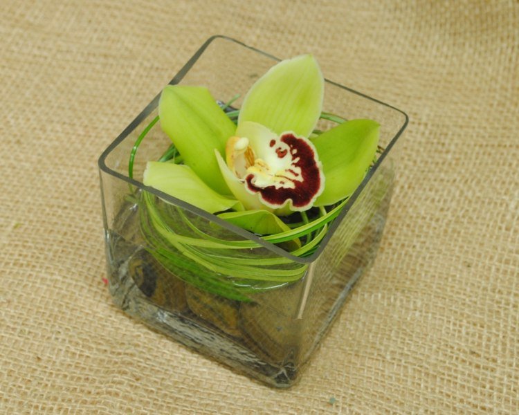 orkidéer dekorationer och arrangemang cymbidium grön färg vatten