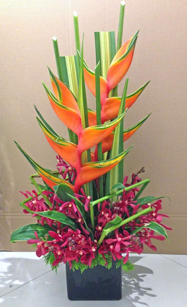 orkidéer dekorationsarrangemang hyliconia monkara röd idé original strauss
