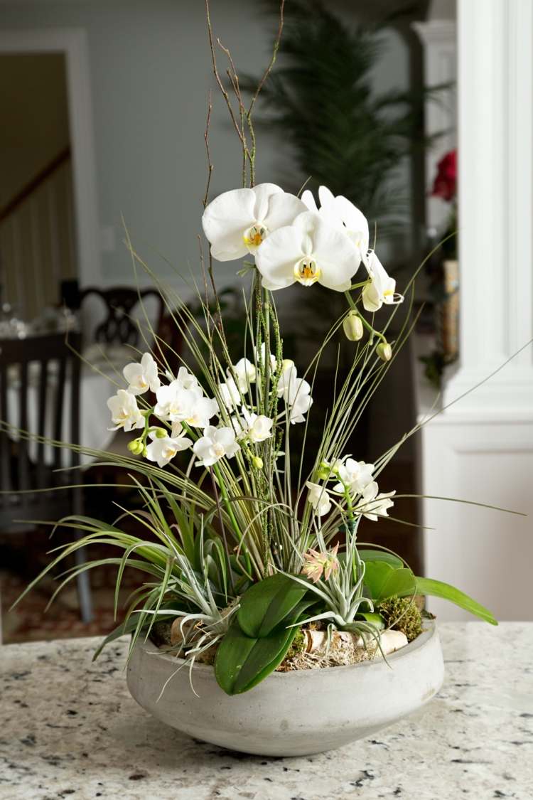 orkidéer dekoration arrangemang graeser skål småsten