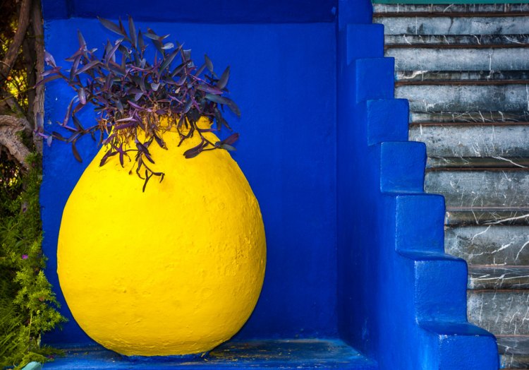 orientaliska trädgård krukväxter vägg design trappor plattor