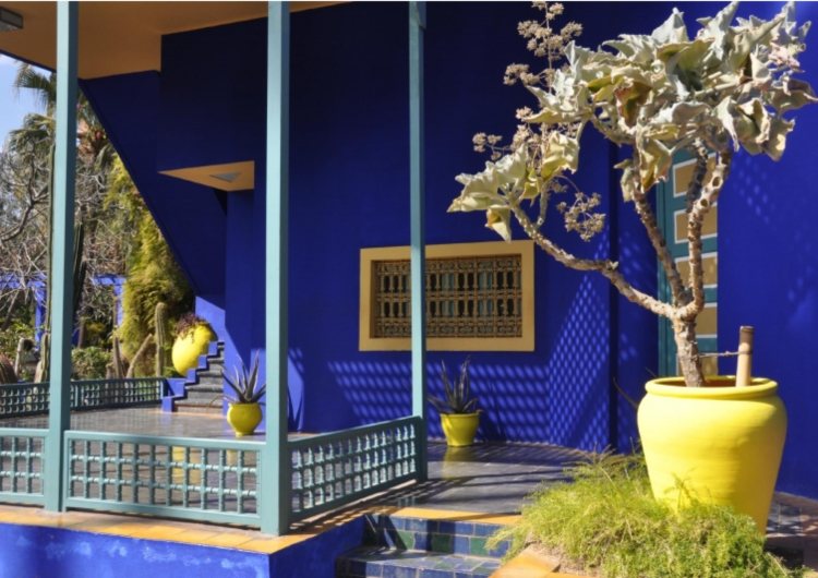 orientalisk trädgård doftande växter terrass
