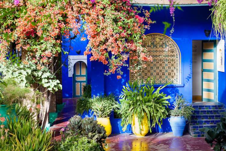 orientalisk trädgård planterings krukor baueme klinkergolv öken växter