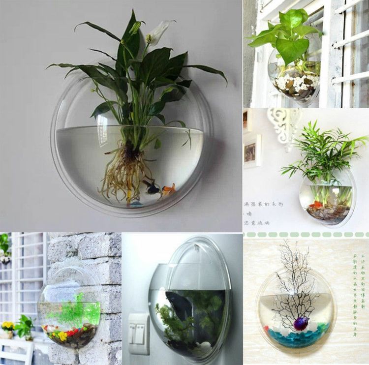 Blomkrukor-hängande-transparent-glas-akvarium-växter-färsk-gadgetz