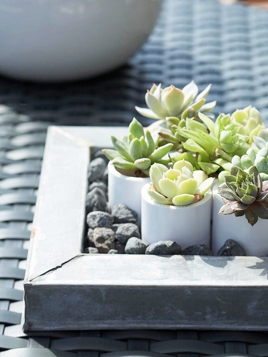 Mini trädgårdsbord dekoration idéer-kaktusar flodstenar