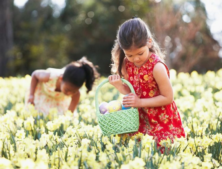 flicka påskägg jakt blomma äng påsk spel utomhus