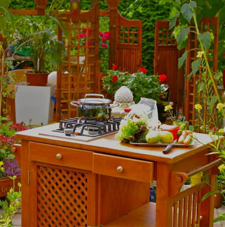 utomhus-kök-trädgård-trä-mobil-servering-vagn-spis-gas-liten