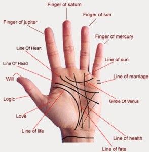 Käden astrologia - kämmenhoroskooppi