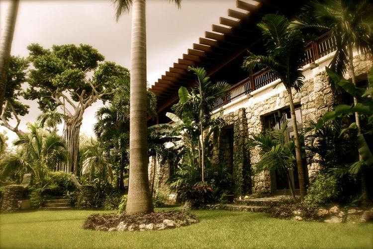 palmer trädgård solskydd gräsmatta