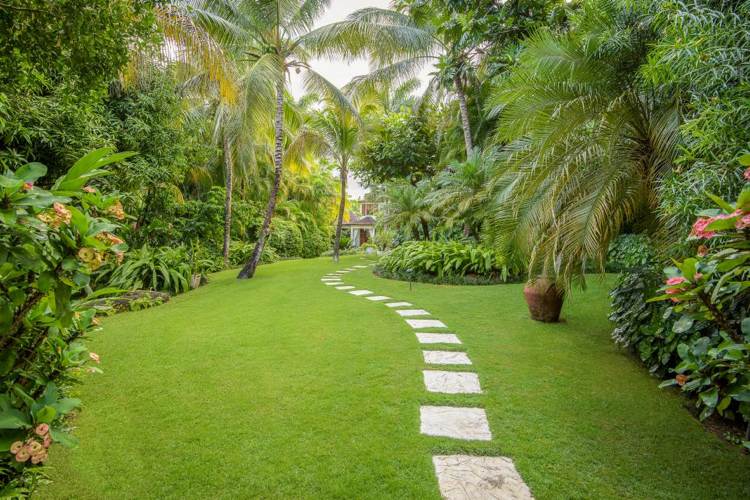 palmer trädgård trädgård stig gräsmatta