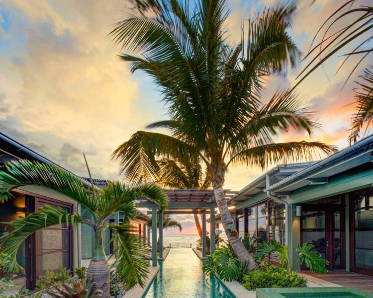 palmer för trädgården pool semesterhus terrass