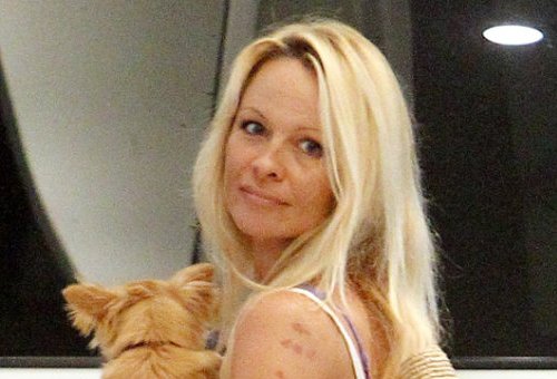 Pamela Anderson ilman meikkiä