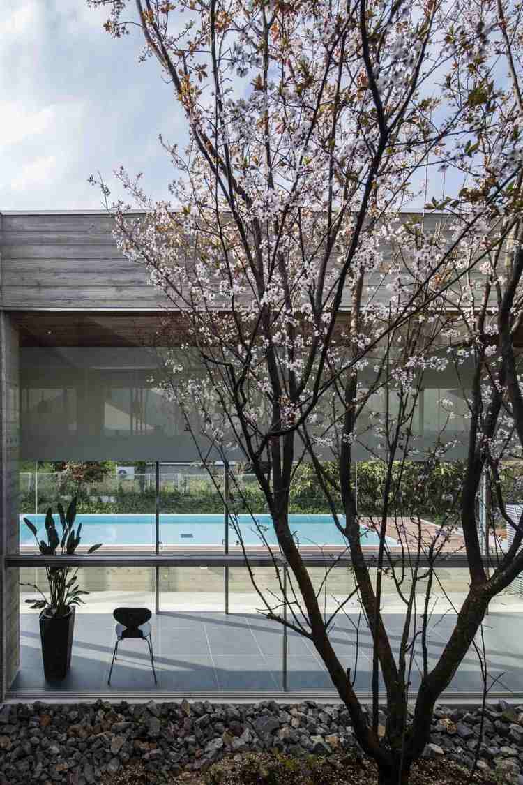 Panoramafönster till innergården -minimalistisk-körsbärsträd-pool-betong-platt takhus