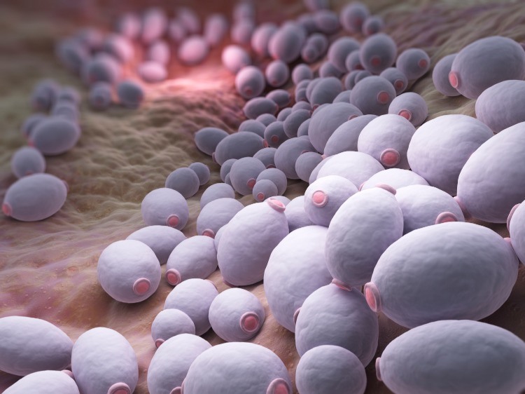tarmbakterier parasitinfektioner relaterade till mikrobiom