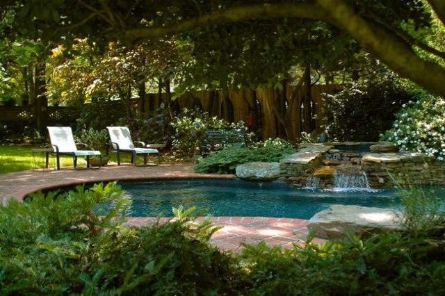 Trädgård med pool design natur trevlig lugnande