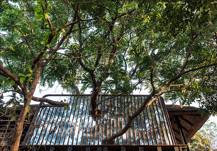 paviljong-halmtak-träd-natur-miljö-vänlig-arkitektur