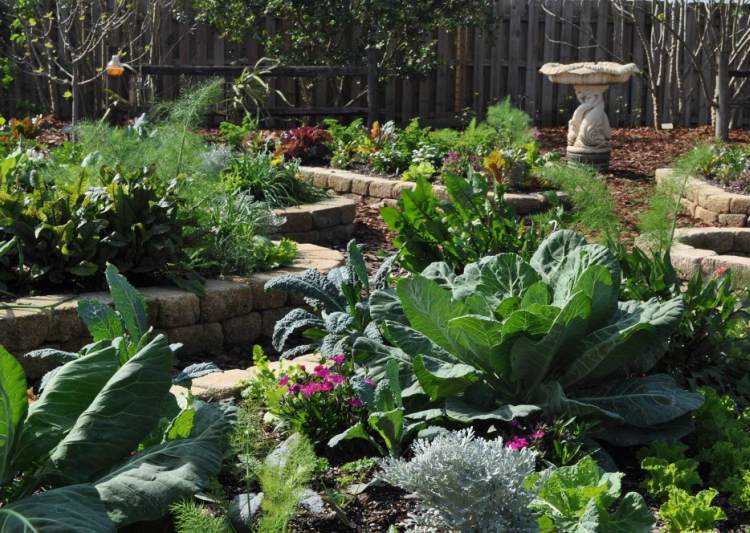 permakultur trädgårdsexempel grönsaks trädgård upphöjd säng
