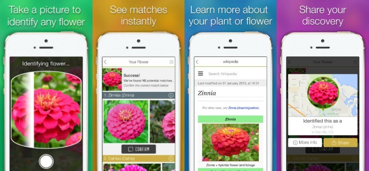 växtbestäm-app-smartphone-liknande-den-trädgården