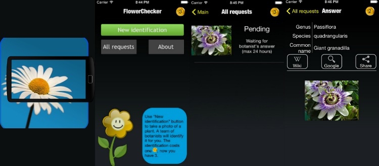 plant-identifier-app-prylar-teknik-internet-flower-checker