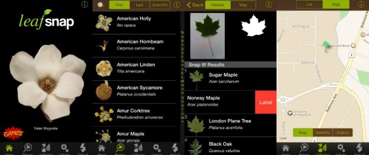 Identifiera växter -app -smartphone -leaf -snap