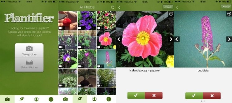 plant-identifier-app-plantifier-functional-technology
