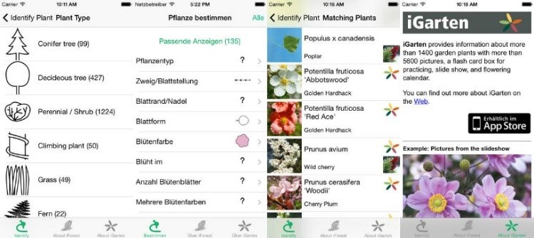 Växter-identifiera-app-teknik-smartphone-iPplant-
