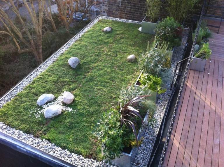 Växter-grönt tak-sten trädgård-saftiga växt-grus