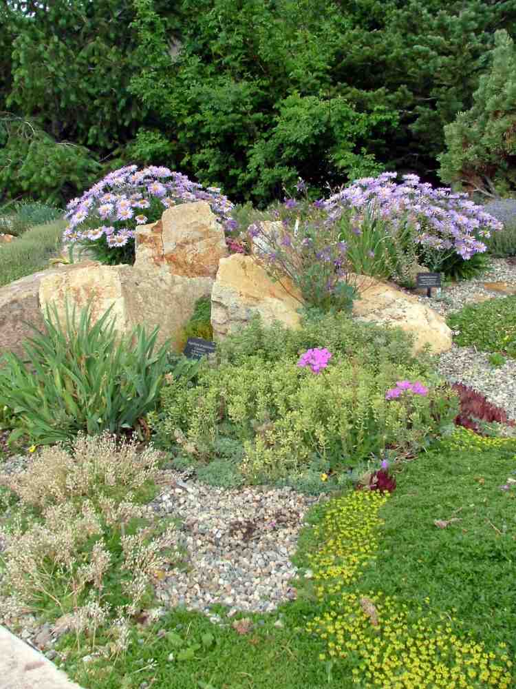 växter-grus-mark täck-stenar-wallpepper-områden-buskar