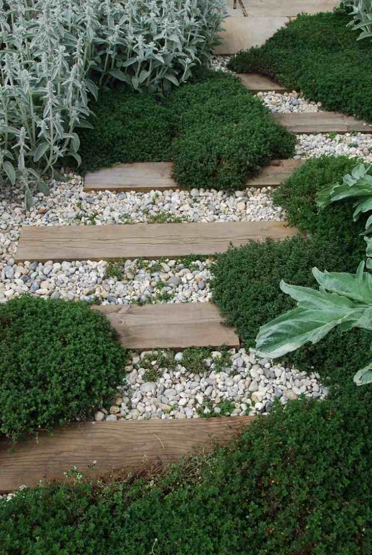 växter-grus-sängar-marktäcke-filt-hornwort-trä-trädgård-stig