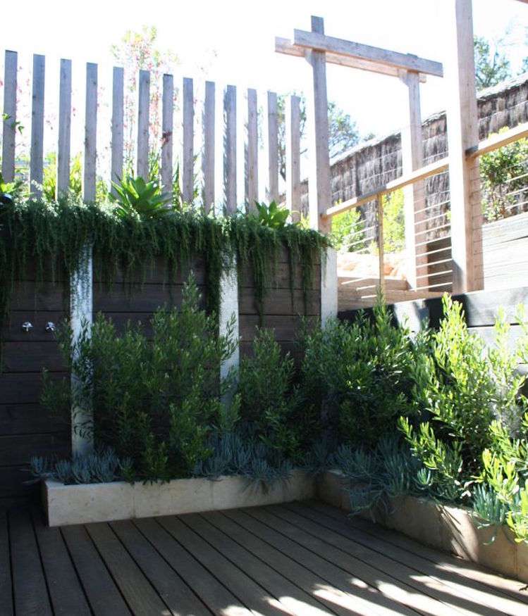 växter-mot-myggor-huskurer-rosmarin-eucalypthus-krukväxter-terrass