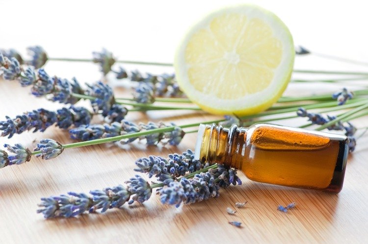 växt-mot-mygg-huskurer-lavendel-citron-eteriska oljor
