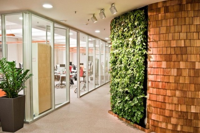 Kontorsdesign dekoration Vertikal - Grön vägg - Luftrening