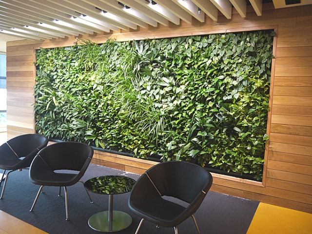 hållbar inredning-kontorslokaler grön vägg