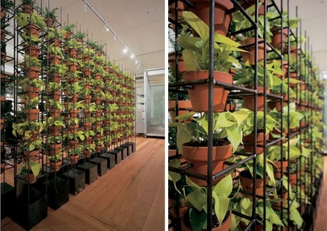 ekologisk levande-arbetande grön vägg-med blomkrukor