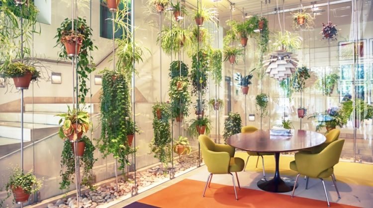 växt-kontor-attraktiv-idé-hängande-design-glas vägg-gul-stolar-bord