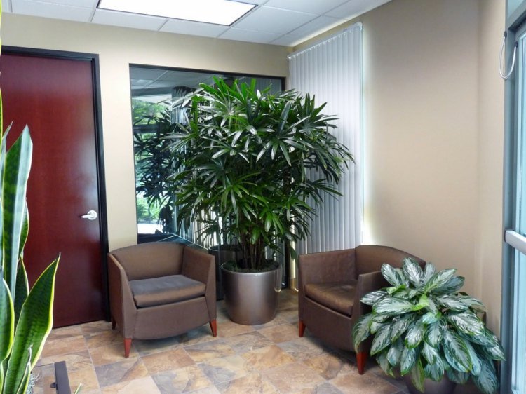 växter-kontor-väntrum-inspiration-stor-palm-grå-fåtölj-sten-otäckt
