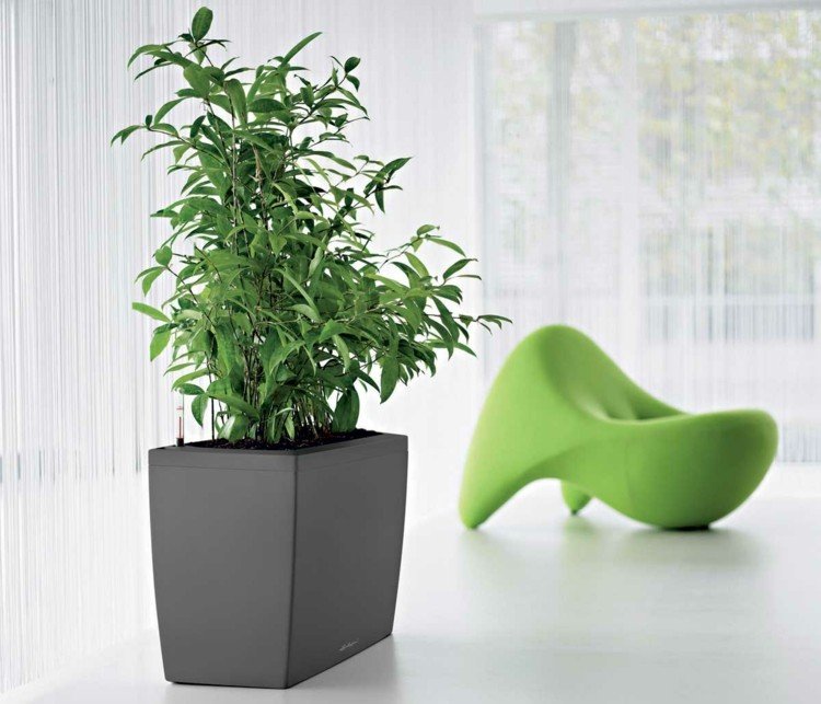 växt-kontor-fåtölj-grön-planter-mörk-grå-modern