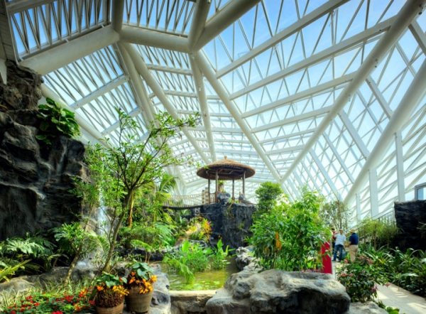 växter växthus tips för växande takkonstruktion