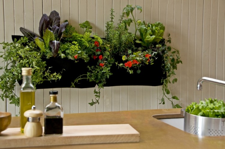 växter i köket planteringspåsar-idé-vård-tips