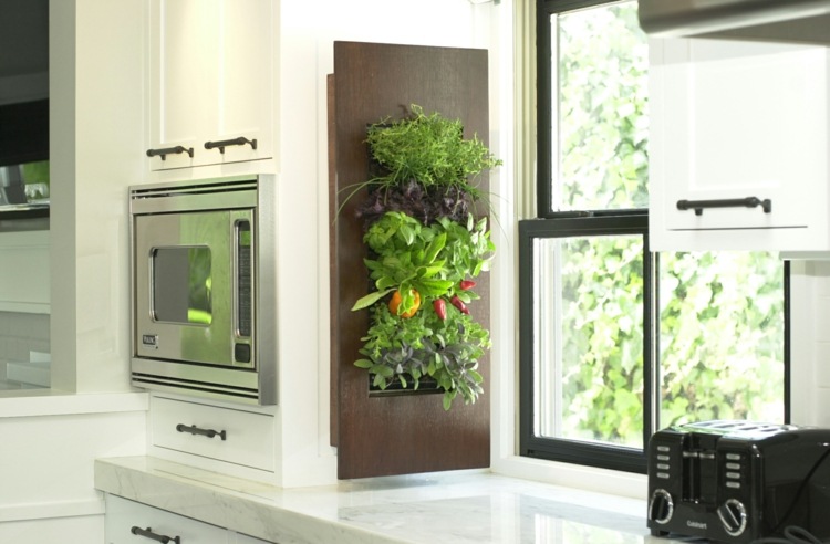 växter i köket vägg-dekoration-grönsaker-moderna