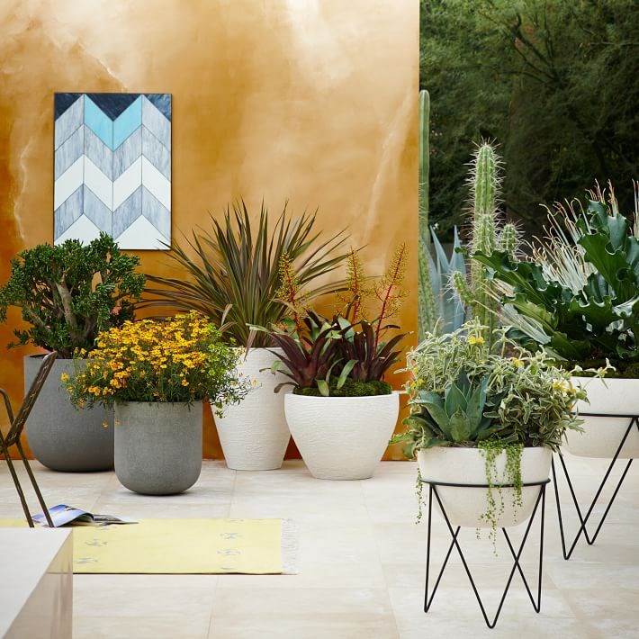 Växter i krukor och badkar terrass-betong utseende-vit-keramik