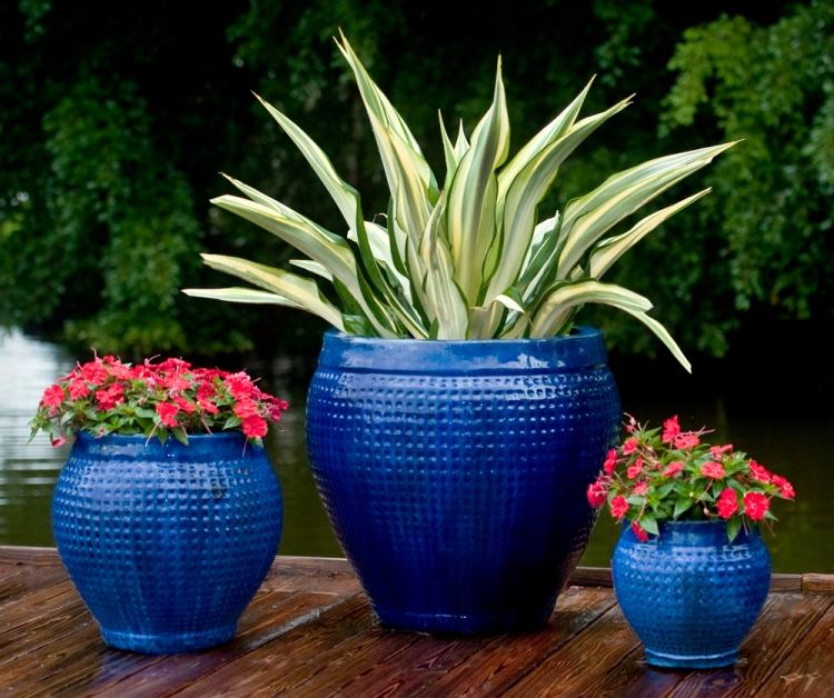växter-krukor-krukor-terrass-blå-runda-olika-storlekar