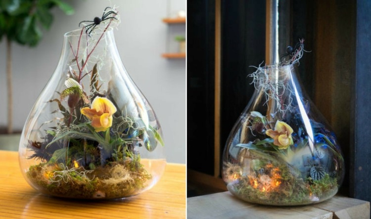 växter terrarium halloween instruktioner orkidéer glas diy