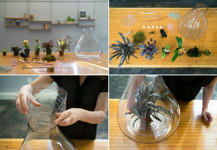 växter terrarium halloween instruktioner bromeliad akvarium