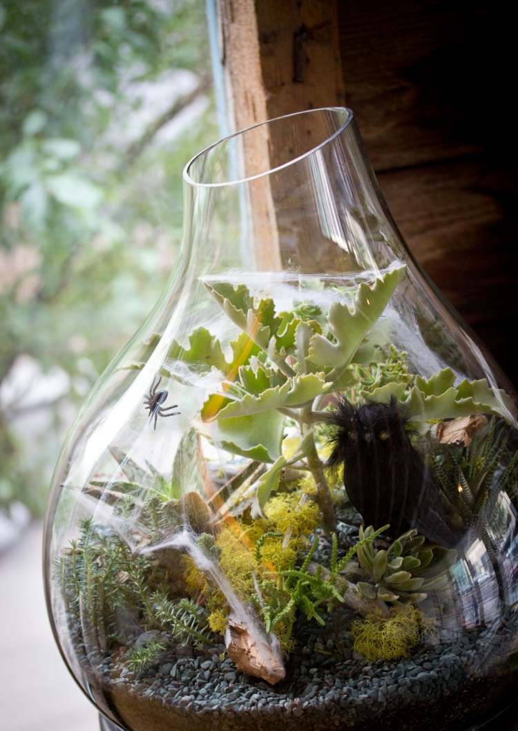 halloween växter terrarium succulenter köttätande uggla diy inspiration skrämmande